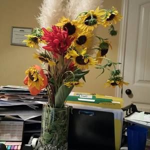 Meet your Posher, Johnna